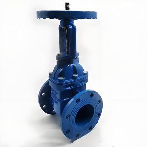 手動(dòng)閘閥Z41T-16 DN50/DN65廠家直銷，上海發(fā)